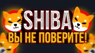 ШИБА ПОЙДЕТ ЕЩЕ ВЫШЕ! САМЫЕ СВЕЖИЕ НОВОСТИ!