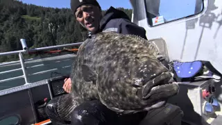 Jeremy Wade Reels in Monster Alaskan Halibut