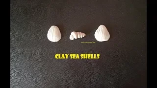 How to make a Shell with Clay / Clay Modeling  / Seashells out of clay