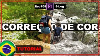 Correção de Cor Premiere Pro - Como Eu Corrijo S-Log 2?