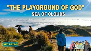 MT. PULAG the 3rd Highest mountain in the Philippines | I Survive | Miles Expedition