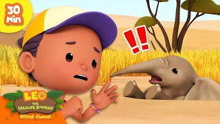 🐘 ELEPHANT FELL INTO A HOLE! 😱 Herbivore Compilation 🍃 | Leo the Wildlife Ranger | Kids Cartoons