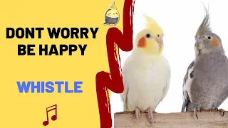 DONT WORRY BE HAPPY WITH WHISTLE- Cockatiel Singing Training - Bird Whistle - Parrot Practice