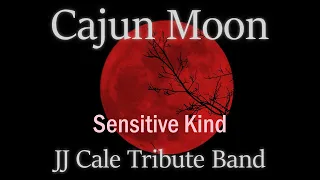 Sensitive Kind - By Cajun Moon 👓 JJ Cale Cover