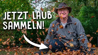 Das richtige Laub für fruchtbaren Boden im Garten! 🍂 - Tipp für den Herbst