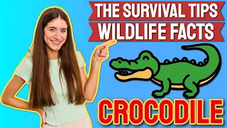 (EN) How to Escape a Crocodile's Jaws Using a Trick | Wildlife Facts | ALYYLA Facts