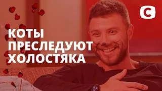 Коты преследуют Михаила Заливако – Холостяк 11 сезон