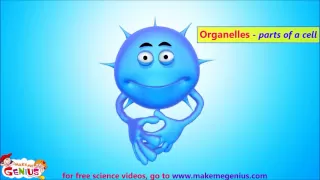 Animals Cells Structure & Functions Animation Video for Kids