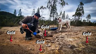 How to Find and Track GOLD Back to the BIGGEST Deposits!