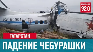 16 человек погибли при крушении L-410 в Мензелинском районе Татарстана - Москва FM