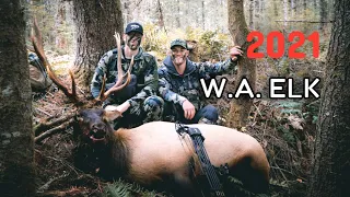 BIG BULL!! 2021 ARCHERY ELK | WA State Roosevelt