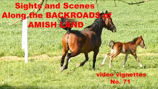 OUT and ABOUT Lancaster County's AMISH LAND...Video Vignettes No. 71