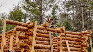 Building an Off Grid Log Cabin Alone Ep 15, Tie Beams, Maple Sugar, Family Self Reliance