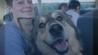 Хозяйка умирающей собаки исполняет ее последнее желание,создавая поддельную метель в Техасе