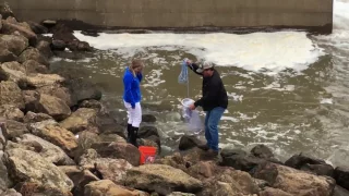 Shad Life catching bait at Perry