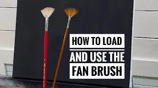 How To Use The FAN BRUSH The Right Way!