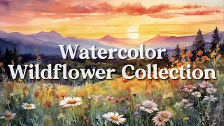 Watercolor Wildflower Painting Slideshow • No Sound • 3 Hours