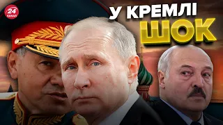 😆😆 ШОЙГУ б'ється в паніці / Лукашенка викликали на килим