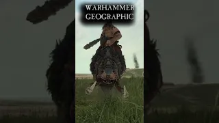 Mournfang Cavalry, A Warhammer Geographic production by Davidius Attenboroughius #Shorts