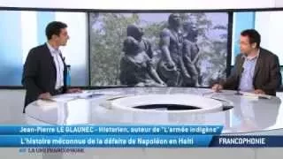 L'histoire méconnue de la défaite de Napoléon en Haïti
