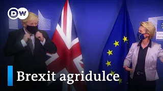 La vida sin la UE: perdedores y ganadores del Brexit | DW Documental