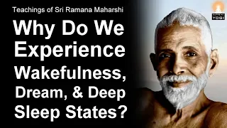 Realize This Truth and Stop Worrying about Your Problems! | Sri Ramana Maharshi