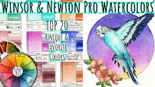 Top 20 Winsor and Newton Professional Watercolor Review 109 Dot Card - Unique & Granulating Palette