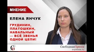 Елена Янчук: Арест Платошкина, отравление Навального, давление на Грудинина – это звенья одной цепи