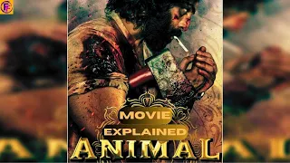 Animal Movie Explained in HINDI | Animal Full Movie Story in HINDI | Animal Movie STORY HINDI(2023)