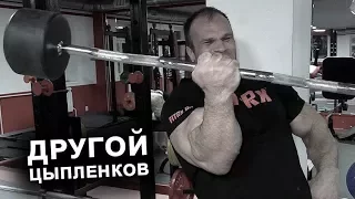 Как зарабатывает Денис Цыпленков!