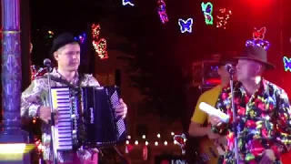 Jam Band - "В Одессе все свои" 2017.09.01