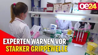 Experten warnen vor starker Grippewelle diesen Winter