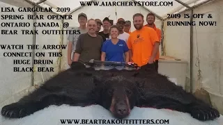 Huge Fall Black Bear Arrowed on Season Opener 2019 at Bear Trak Outfitters Ontario Canada