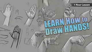 How to Draw Hands - Human Anatomy Class Sneak Peek - ONLY $1