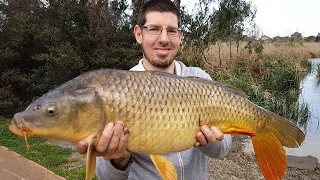 HOW TO CATCH BIG CARP | Carp fishing Melbourne