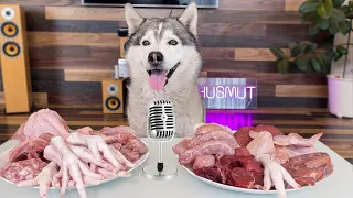 МУКБАНГ АСМР Хаски ест Мясо / ASMR Husky Reviewing Raw Beef Meat Parts!