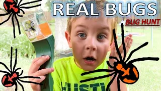 REAL BUGS BUG VIEWER- Bug Hunt Kids!! WASP, Spiders, ROLY POLYS, Worm, TOAD, Lizard & More for KIDS!