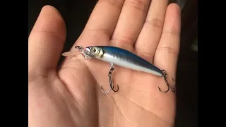 This little Yozuri is Killer on Trout!