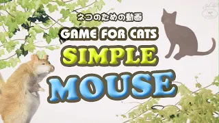 【猫用動画ネズミ】GAME FOR CATS - SIMPLE - MOUSE 4 hour