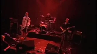 The Presidents of the United States of America - Lunatic to Love (Live from Portland 1997)