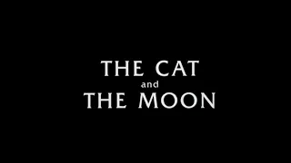 The Cat and the Moon - W.B. Yeats