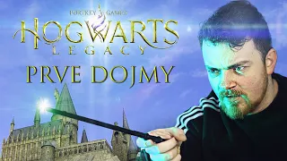 Hogwarts Legacy - Prvé Dojmy