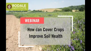 Webinar: How can Cover Crops Improve Soil Health