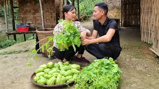 Harvest chayote and vegetables - bring them to the market to sell | Triêu Thị Sểnh