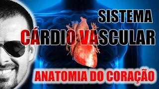 Sistema Cardiovascular - Coração: Anatomia, localização e envoltórios (camadas) - VideoAula 045