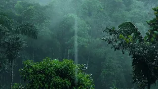 Regenwald-Regengeräusche zum Schlafen oder Lernen - Musik heilt Schlaflosigkeit