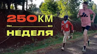 Последний лонгран перед Парижем. Неделя Степана Киселёва 250 км в Кении