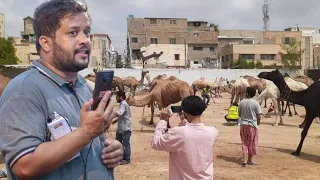 LIVE JDC QURBANI 2020