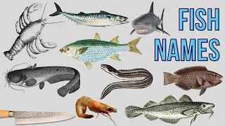 Fish Names |  Fish Names In English  |  All Fish Names