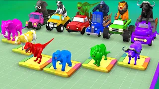 Cow Elephant Gorilla Lion Buffalo Choose The Right COLOR CHALLENGE Paint Animals Crossing Fountain